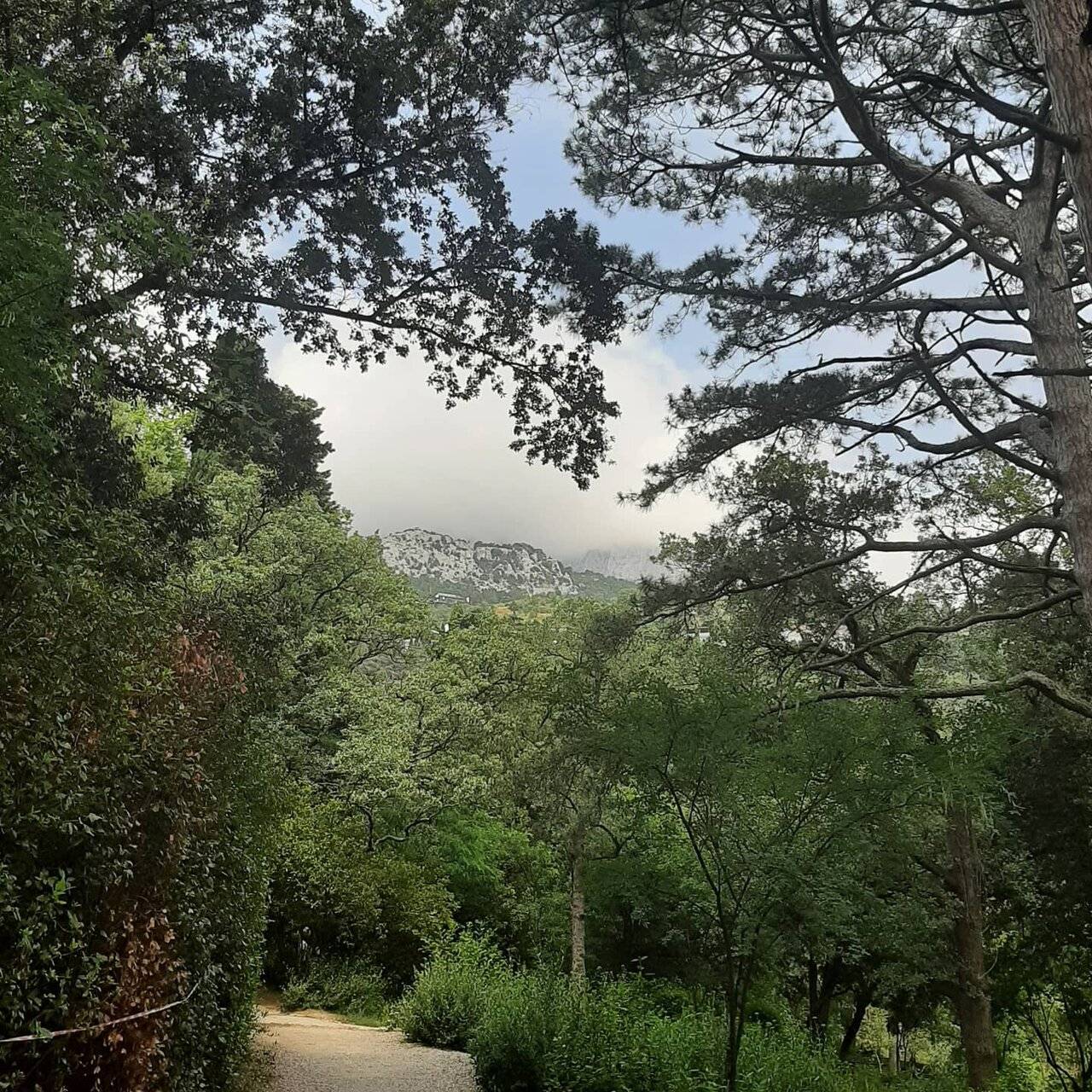 Фото Гостевого дома Усадьба у графского парка Алупка 94